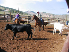 USA-Colorado-Big Thompson River Ranch